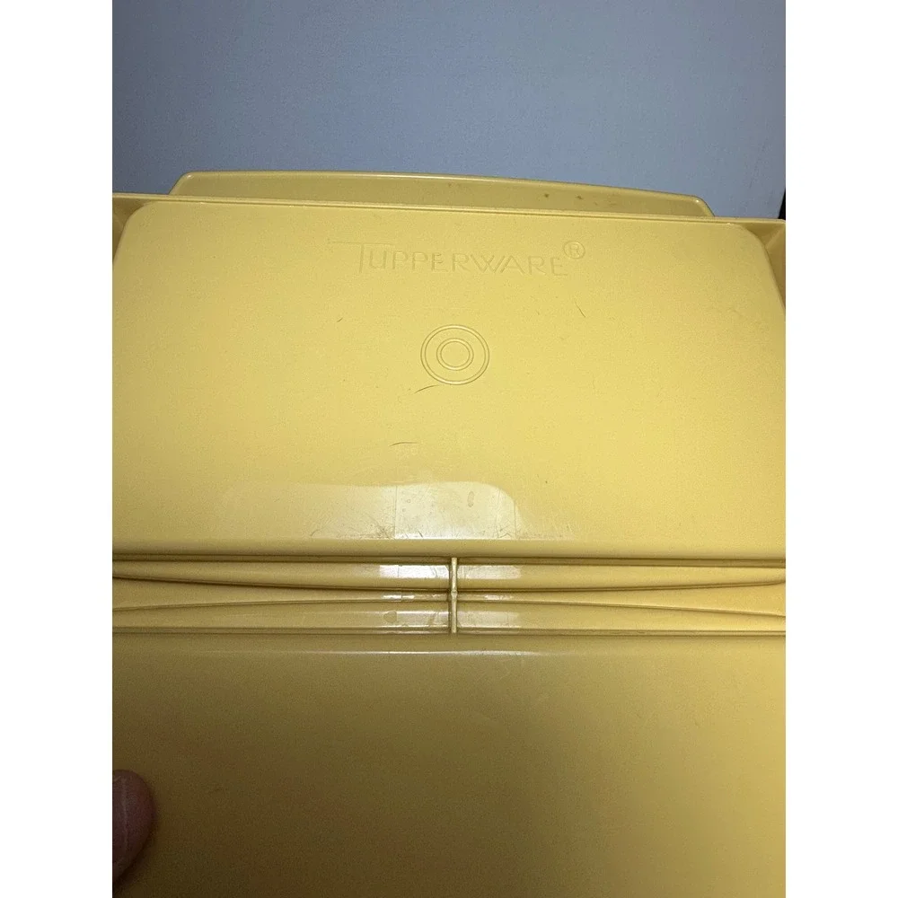 Vintage Tupperware Deviled Egg Keeper Tray Holder Tan Made In USA Retro 1980s